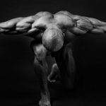 New Study Reveals Surprising Effects of Methenolone Acetate on Muscle Growth and Fat Loss